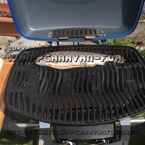 Napoleon TravelQ 285X 5