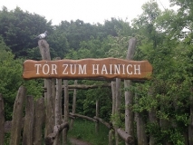 Das Rudeltreffen 2016