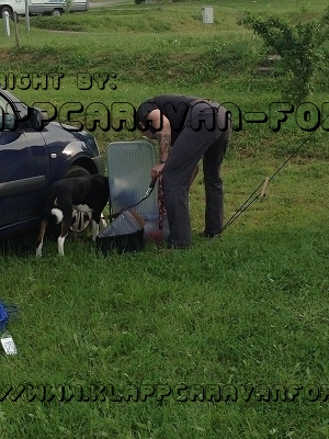 Das Rudeltreffen 2016