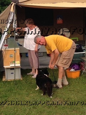 Das Rudeltreffen 2016