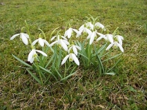 Bald Frühling