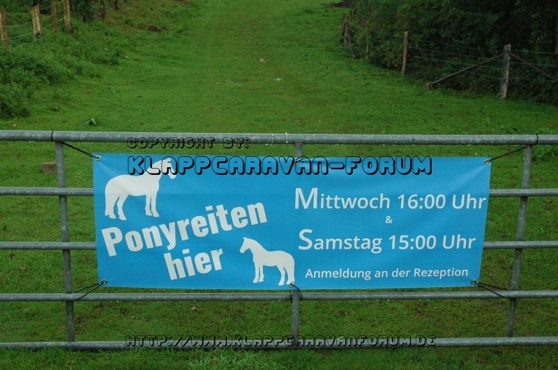 Ponyreiten