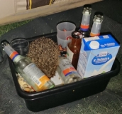 Igelbesuch