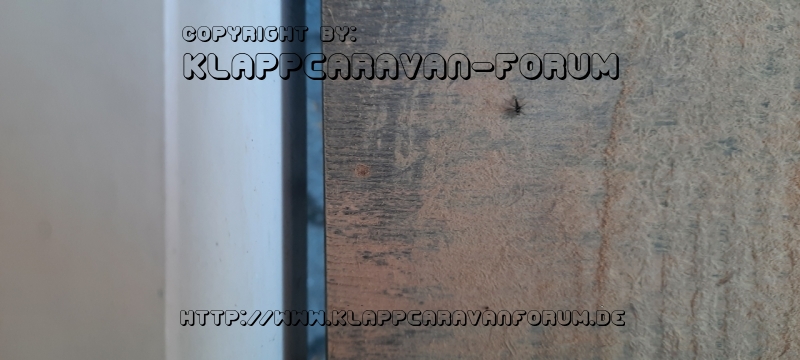 20210331_152826