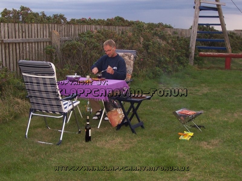 Langerhuse DK - Sommer 2008 - Grillen