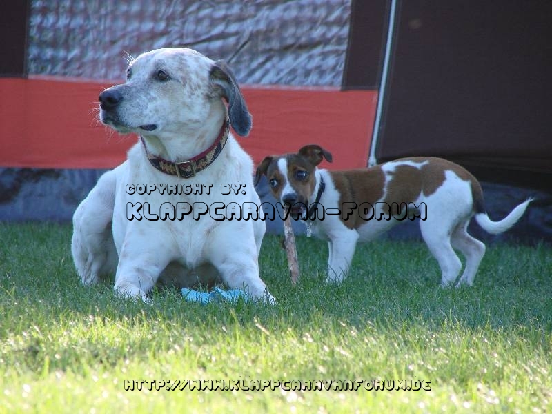 Treffen Lengerich KappensKlappi