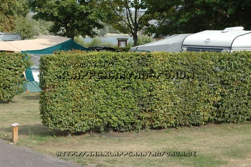 Camping du Parc – La Mailleraye-sur-Seine – Seine im Hintergrund