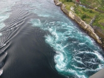 Saltstraumen