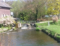 Brüggen und Umgebung