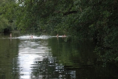 Nahe am Sommer 2011 - Monzingen - Bad in der Nahe - Schwimmern vor dem Wehr