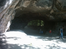 Rätselbild - Röhricht