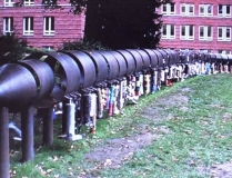 Rätselbild - CT7 Fan