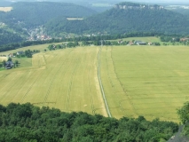 Rätselbild - mammut