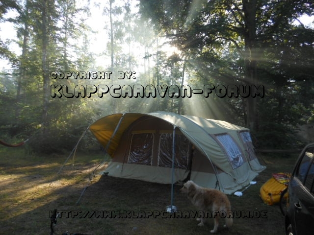 DSCN0705
