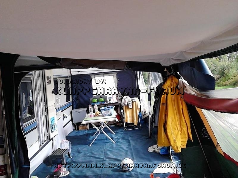 Symbiose von Falter und Wohnwagen