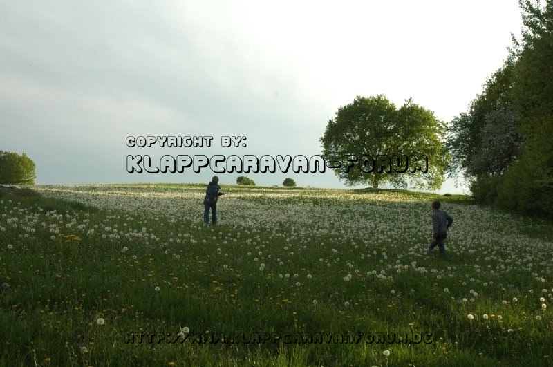 Abendwanderung 2