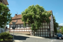 Naumburg 1