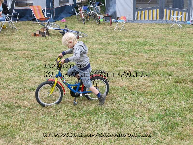 Nahe am Sommer VI 2015